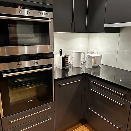 公寓 Swiss Alpine Haven