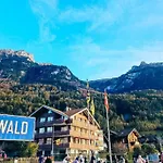 Swiss Alpine Haven شقة