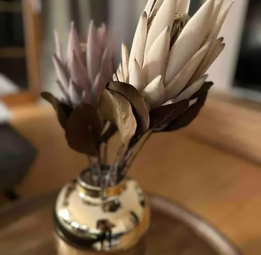 Апартаменты Swiss Alpine Haven Изельтвальд