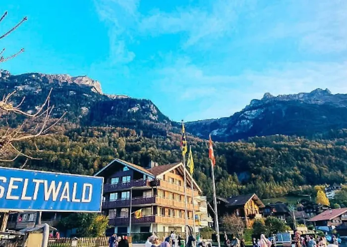 Swiss Alpine Haven Апартаменты