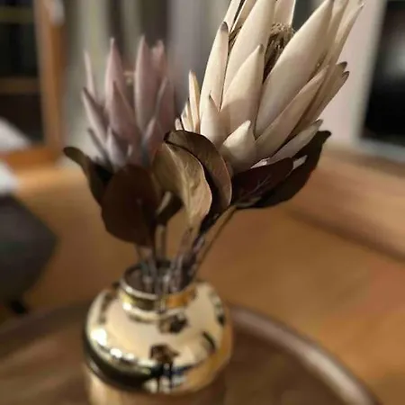 アパート Swiss Alpine Haven イゼルトヴァルト